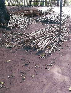 Bildung-fuer-Madagaskar 24  0001 9