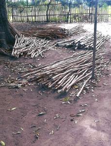 Bildung-fuer-Madagaskar 24  0003 7