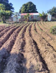 Bildung-fuer-Madagaskar 24  0007 3